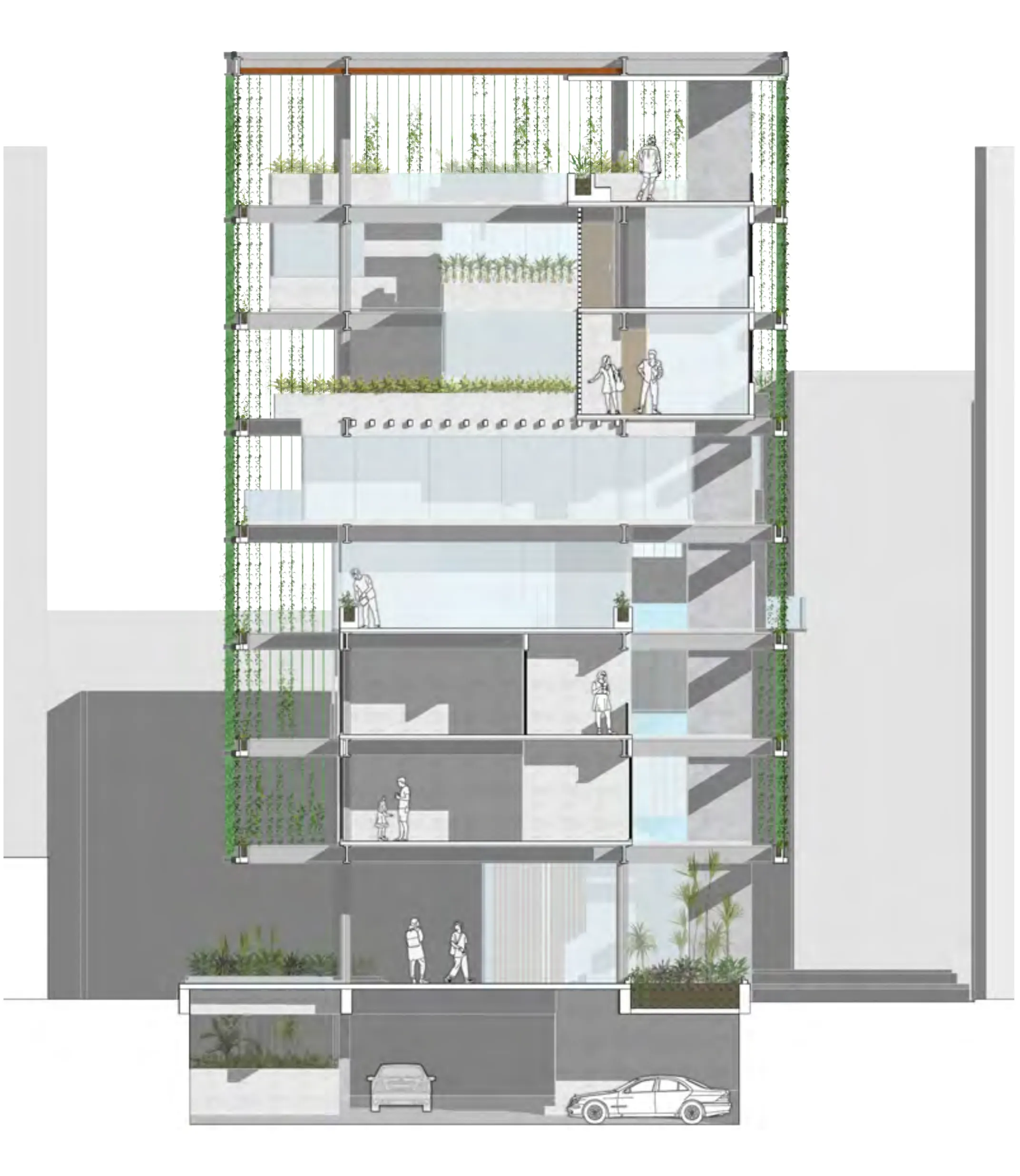 Perspective section B-B' cut through the central circulation, with transitional spaces between the units and the underground parking beneath the street.